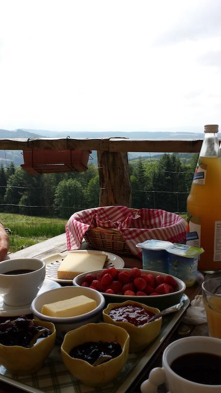 Les Grandes Fontaines Bed & Breakfast La Longine Eksteriør bilde